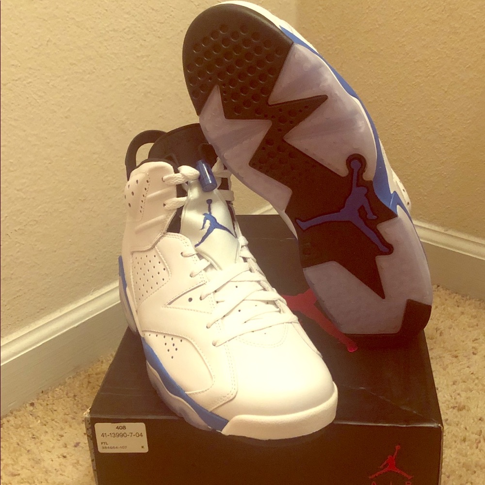 Mens Jordan 6 sneaker